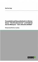 Frauenbild und Sexualästhetik in Günter Grass' Die Blechtrommel und Gabriel García Márquez' Cien años de soledad