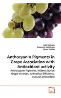 Anthocyanin Pigments in Grape Association with Antioxidant activity