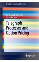 Telegraph Processes and Option Pricing