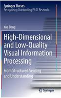 High-Dimensional and Low-Quality Visual Information Processing