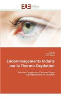 Endommagements induits par la thermo oxydation