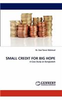 Small Credit for Big Hope