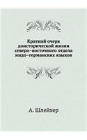 &#1050;&#1088;&#1072;&#1090;&#1082;&#1080;&#1081; &#1086;&#1095;&#1077;&#1088;&#1082; &#1076;&#1086;&#1080;&#1089;&#1090;&#1086;&#1088;&#1080;&#1095;&#1077;&#1089;&#1082;&#1086;&#1081; &#1078;&#1080;&#1079;&#1085;&#1080; &#1089;&#1077;&#1074;&#1077