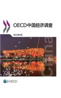 OECD Economic Surveys: China 2015 (Chinese version)