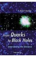 From Quarks to Black Holes - Interviewing the Universe