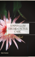 Epiphyllum Orchid Cactus Care: Plant Guide