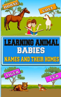 Learning Animal Babies Names and Their Homes