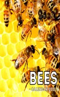 Bees Calendar 2021: 16-Month Calendar, Cute Gift Idea For Bee Lovers Men & Women