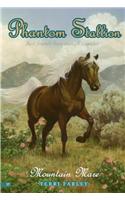 Phantom Stallion #17: Mountain Mare