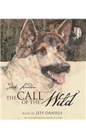 The Call of the Wild