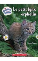 Le Petit Lynx Orphelin