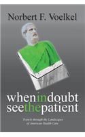 When In Doubt See the Patient: Travels through the Landscapes of American Health Care