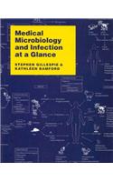 Medical Microbiology and Infection at a Glance