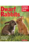 Dwarf Rabbits