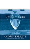 Air We Breathe Lib/E