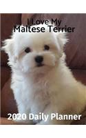 I Love My Maltese Terrier: 2020 Daily Planner