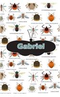 Gabriel: Bug Insect Journal Notebook 120 Pages 6x9