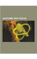 Anatomie Der Fische: Flosse, Fischschadel, Fischmaul, Kieme, OS Quadratum, Placoidschuppe, Fischnase, Rogen, Schwimmblase, Flossenstrahl, S(German)