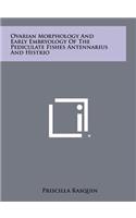 Ovarian Morphology and Early Embryology of the Pediculate Fishes Antennarius and Histrio