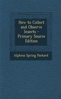 How to Collect and Observe Insects