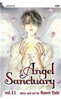 Angel Sanctuary, Vol. 11