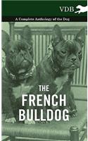 French Bulldog - A Complete Anthology of the Dog