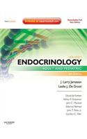 Endocrinology - E-Book