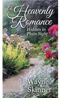 A Heavenly Romance