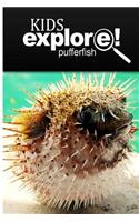 Puffer Fish - Kids Explore