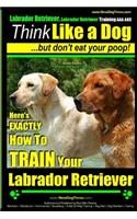 Labrador Retriever, Labrador Retriever Training AAA AKC