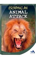 Escaping an Animal Attack