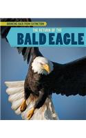 The Return of the Bald Eagle: (Bouncing Back from Extinction)