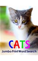Cats Jumbo Print Word Search