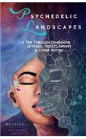 Psychedelic Landscapes: A Trip Through Dimensions of Haiku, Triolet, Infinity & Other Poetry(English)