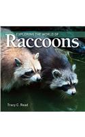 Exploring the World of Raccoons