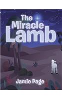 Miracle Lamb