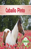 Caballo Pinto (American Paint Horses)