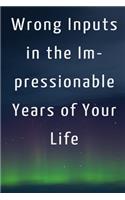 Wrong Inputs in the Impressionable Years of Your Life