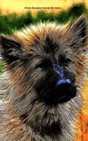 Chien Eurasier Carnet de notes