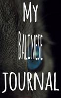 My Balinese Journal