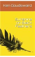 Sunshine on Black Feathers