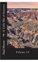 A Little Bit of Arizona: Volume 12(12 Arizona)