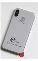 e-Voice