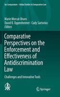 Comparative Perspectives on the Enforcement and Effectiveness of Antidiscrimination Law