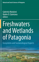 Freshwaters and Wetlands of Patagonia