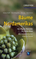 Baume Nordamerikas