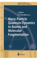 Many-Particle Quantum Dynamics in Atomic and Molecular Fragmentation