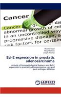 Bcl-2 expression in prostatic adenocarcinoma