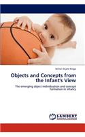 Objects and Concepts from the Infant's View: (English)