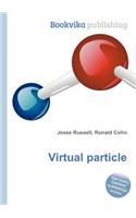 Virtual Particle